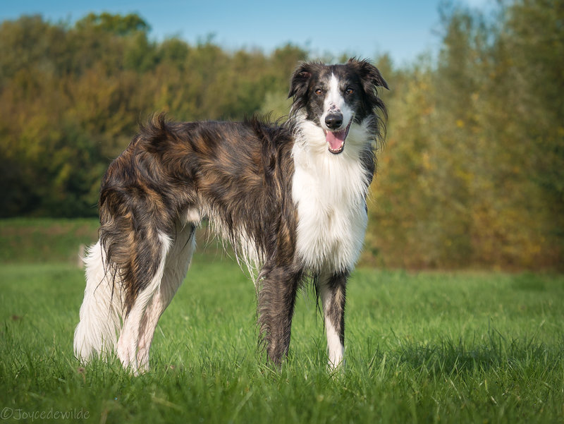Yuma, 14 mnd alweer