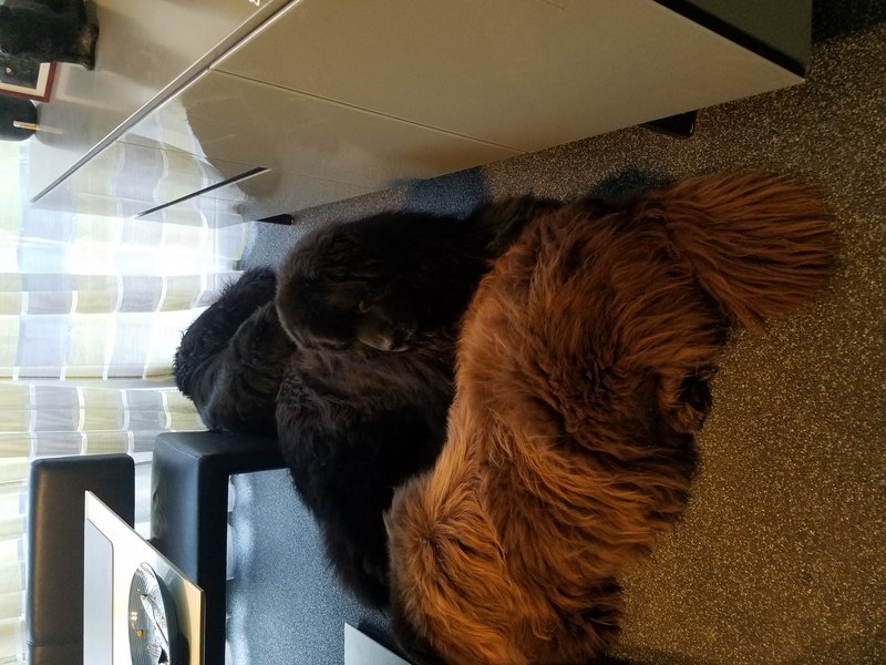 20190217_174841.jpg