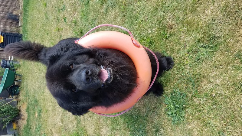 20190704_154956.jpg