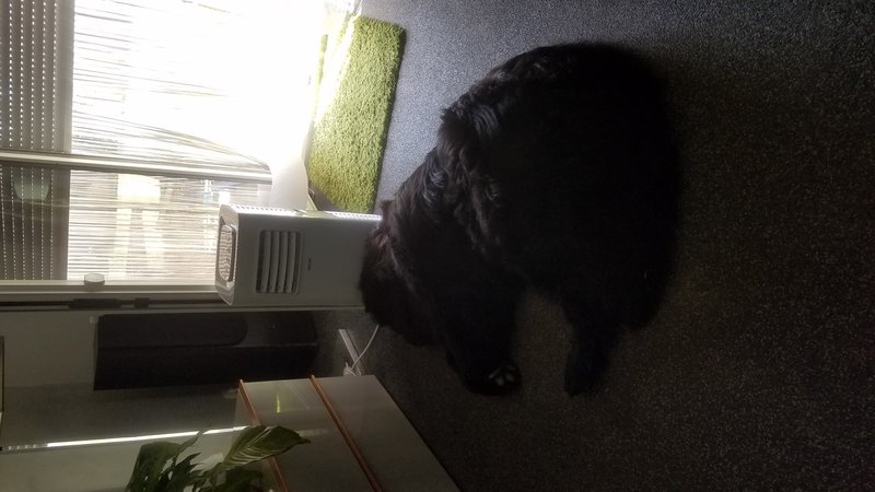 20190724_124737.jpg