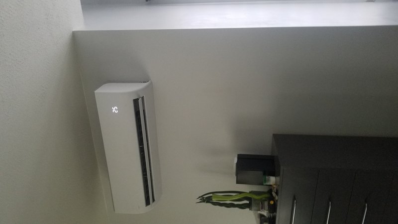 20190727_173109.jpg