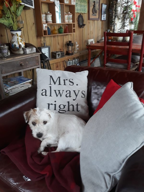 IMG-20190714-WA0000.jpg