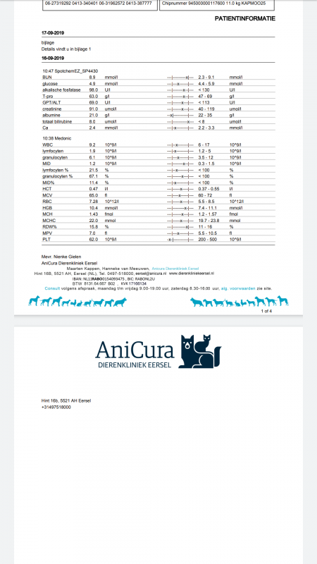 Screenshot_20190926-133113.png