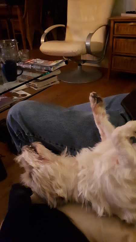 20191123_211014.jpg