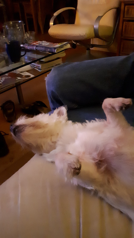 20191123_212156.jpg