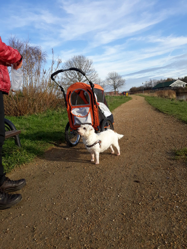 IMG-20191201-WA0009.jpg