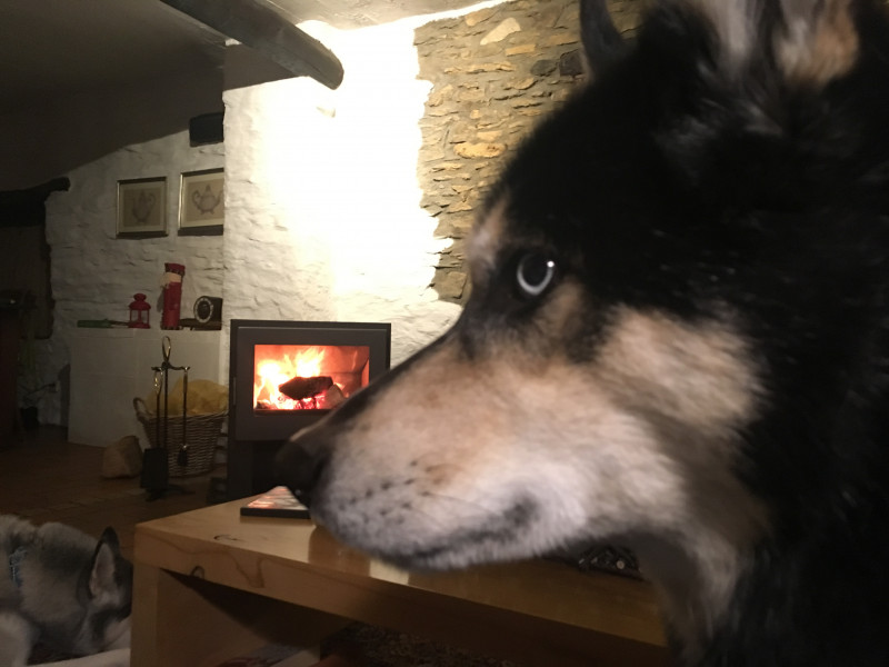 3E6F88D6-121D-4D39-B094-00528F02717D.jpeg