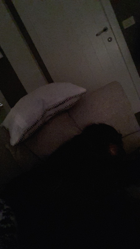20191231_210605.jpg