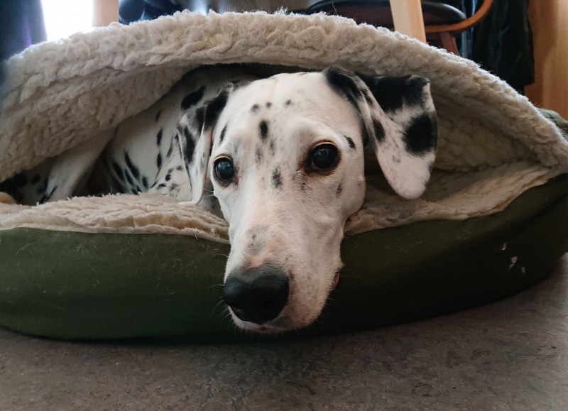 cozyDSC_1075.JPG