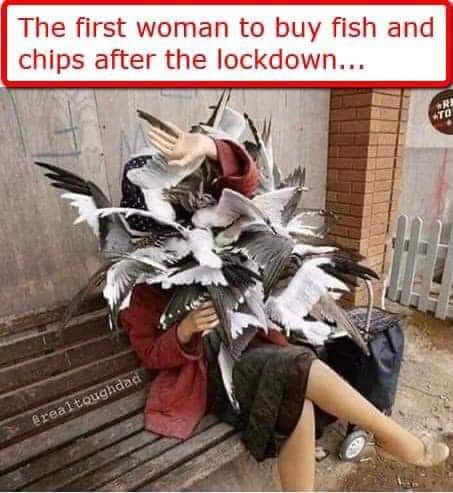 95641492_10158268631074299_7193137444097622016_n.jpg
