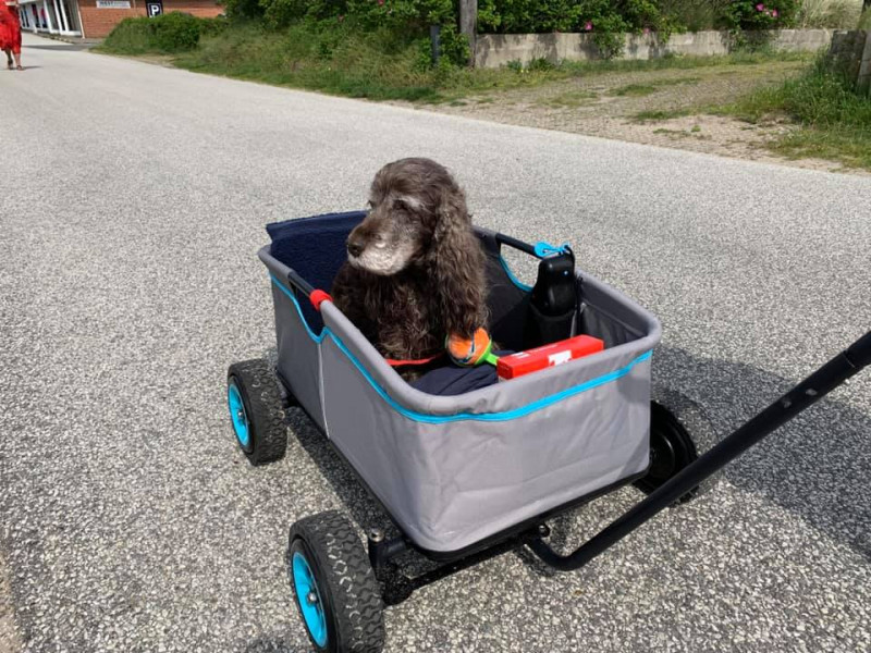 saartje.2.jpg