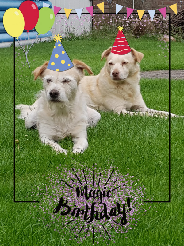 PicsArt_02-21-06.07.17.jpg