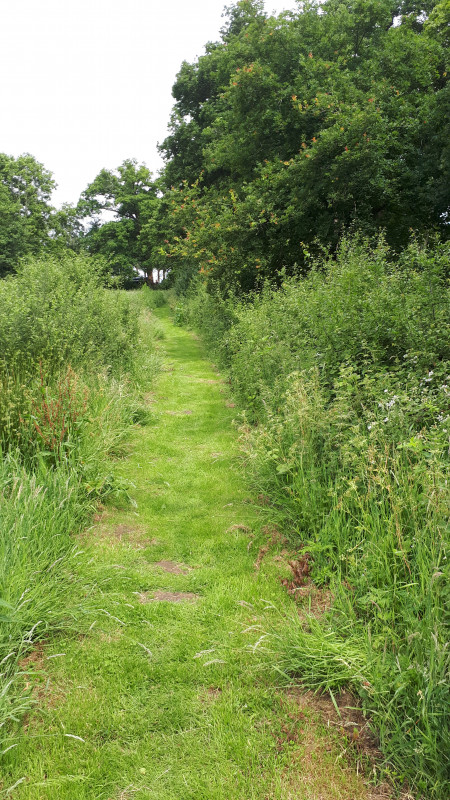 20200621_124612.jpg