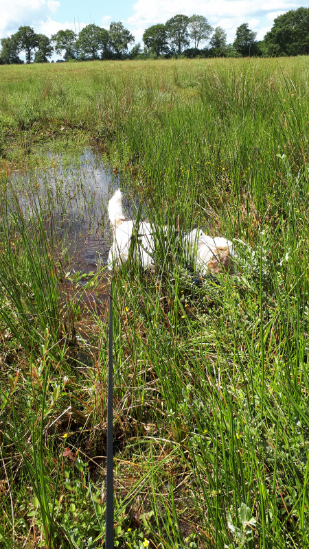 20200622_121753.jpg