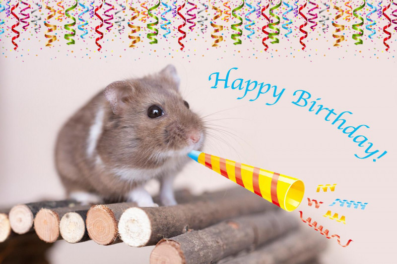 6CFF2938-202D-4347-8CFD-0620E4CD3412.jpeg