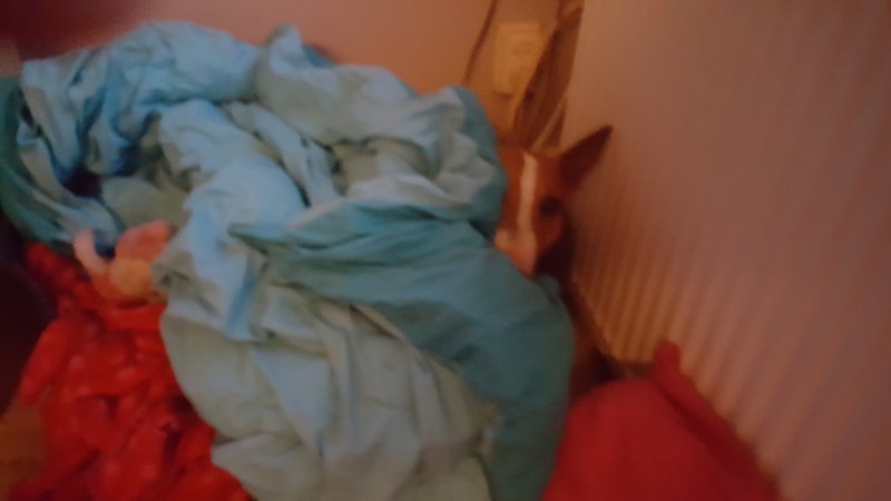 20170705_223325.jpg