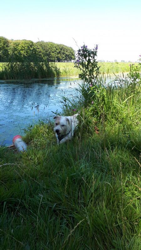 20200807_144815.jpg