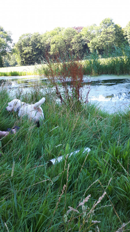 20200807_144611.jpg