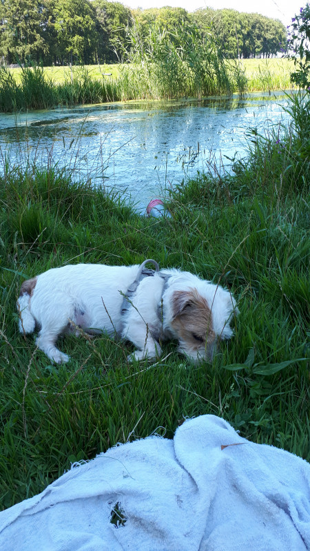 20200807_152546.jpg