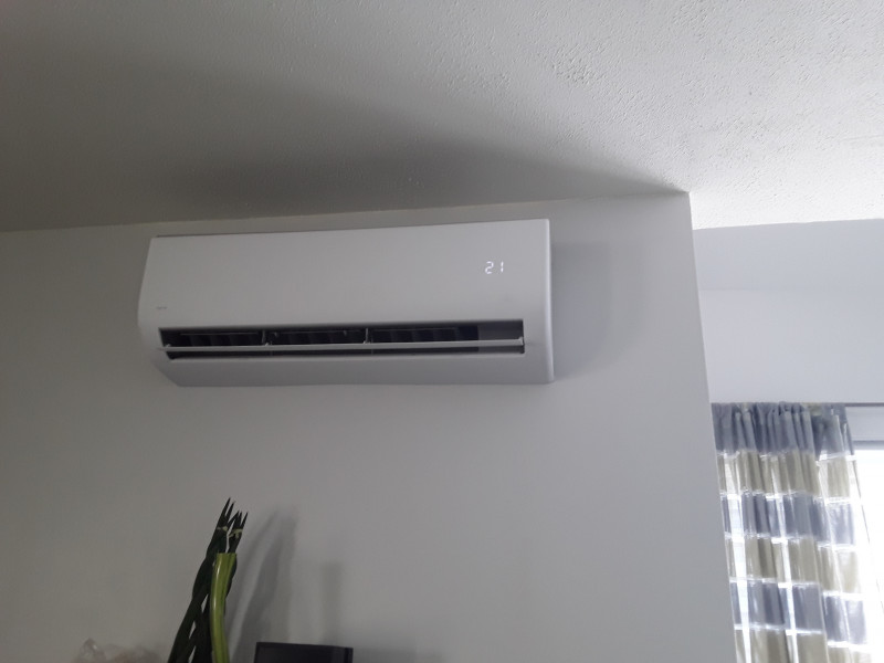 20200808_160036.jpg