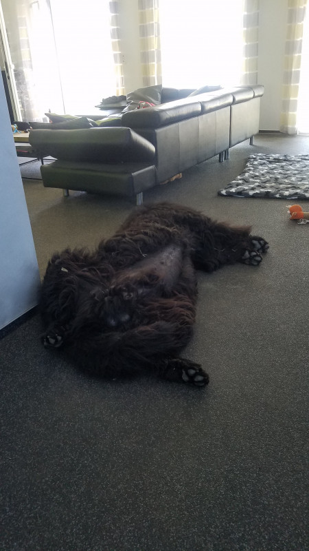 20200807_114719.jpg