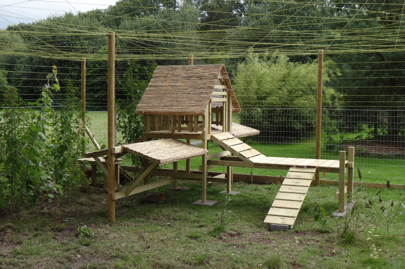 PSX_20200910_194505.jpg