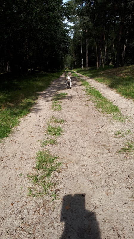 20200913_120725.jpg