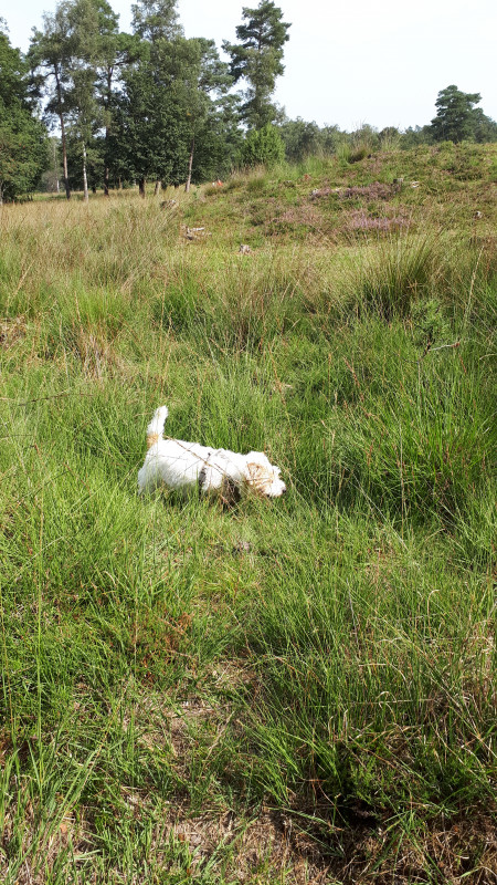 20200913_121243.jpg