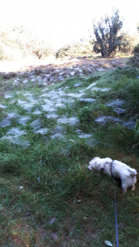 20200914_105404.jpg