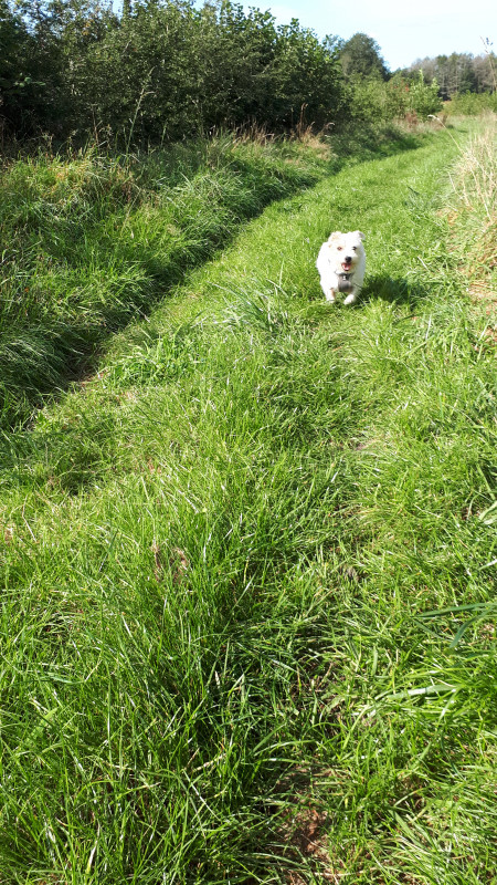 20200917_115544.jpg