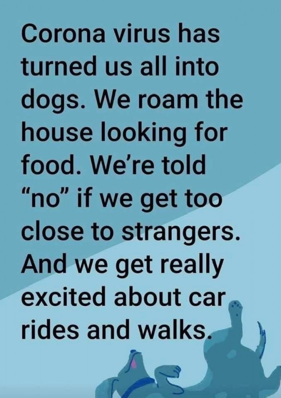 1ABBD07B-F932-48C9-930F-3CE37F56BCDD.jpeg