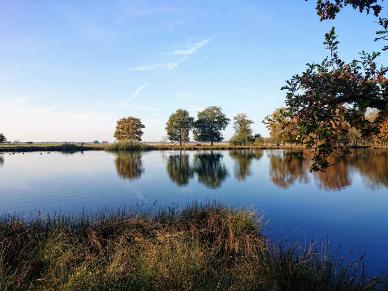 DSC_0324.JPG