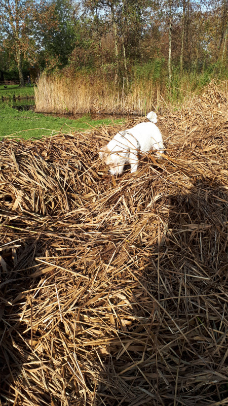 20201108_113221.jpg