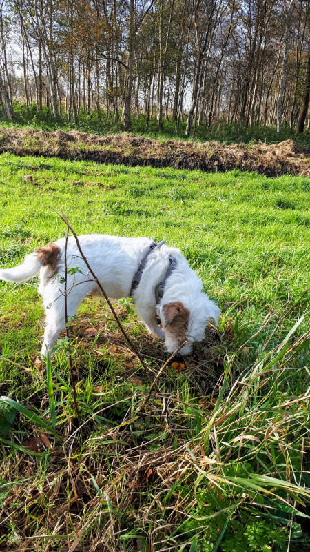 20201107_114721.jpg