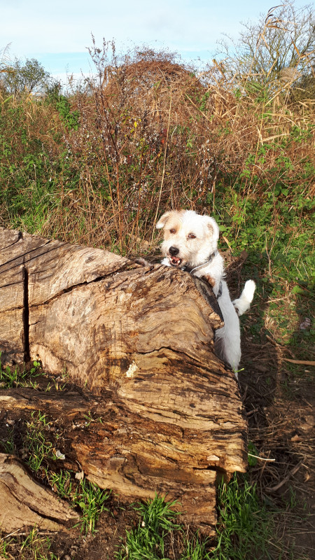 20201122_121456.jpg