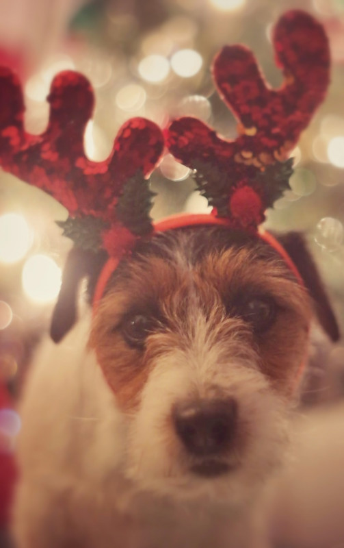 20201220_220028-01.jpeg
