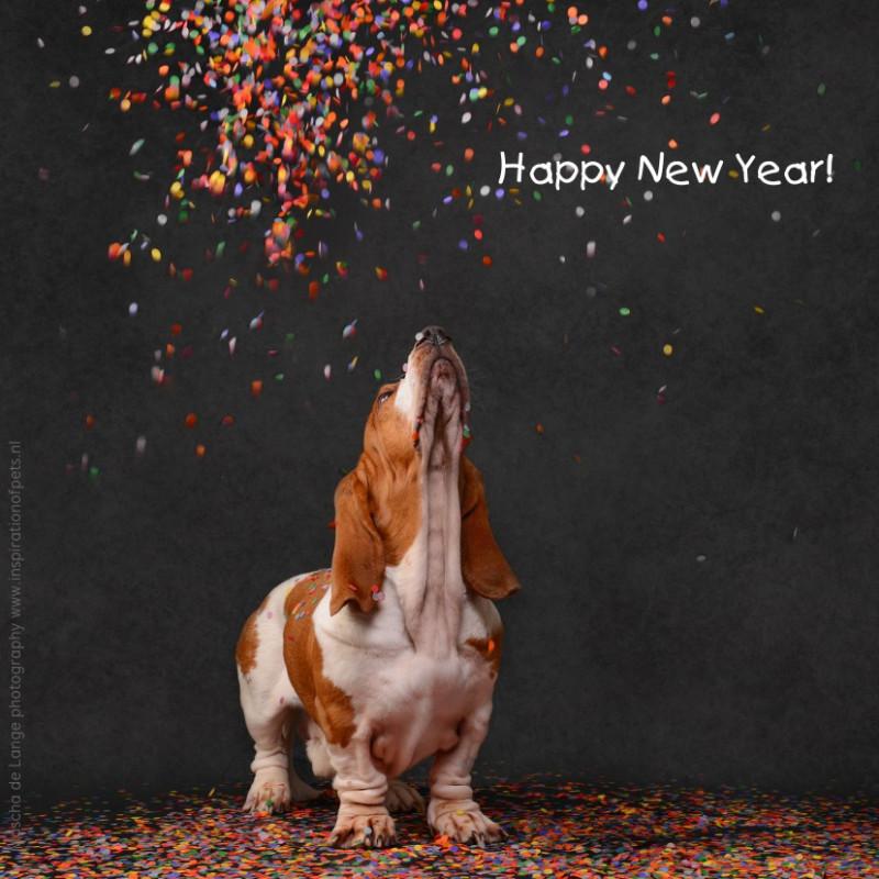 Happy New Year (2).jpeg