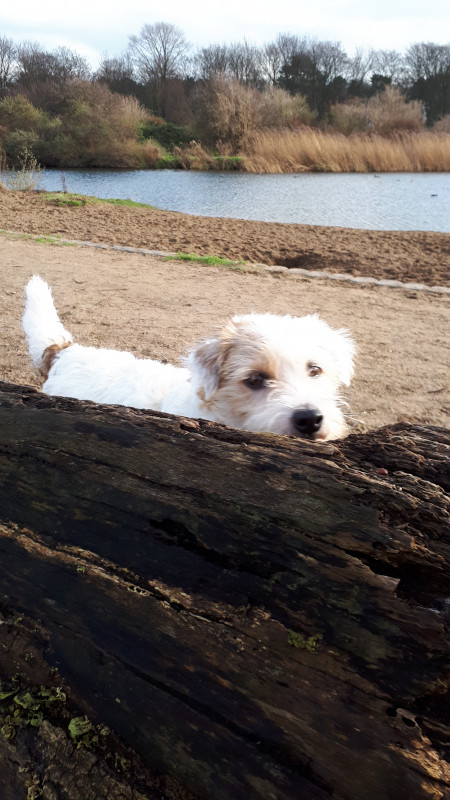 20201220_132453.jpg
