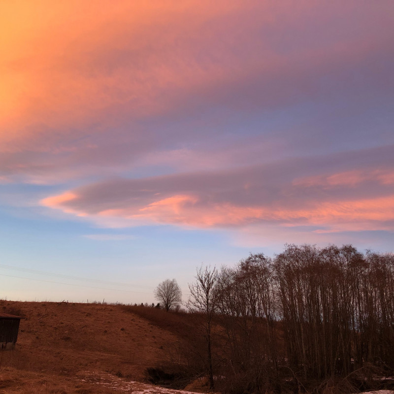 5072353A-C035-498C-B1BF-1F7E6FD23983.jpeg