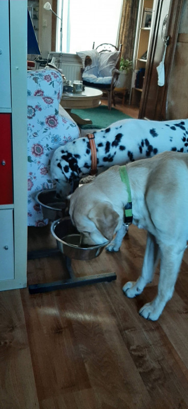 Samen eten