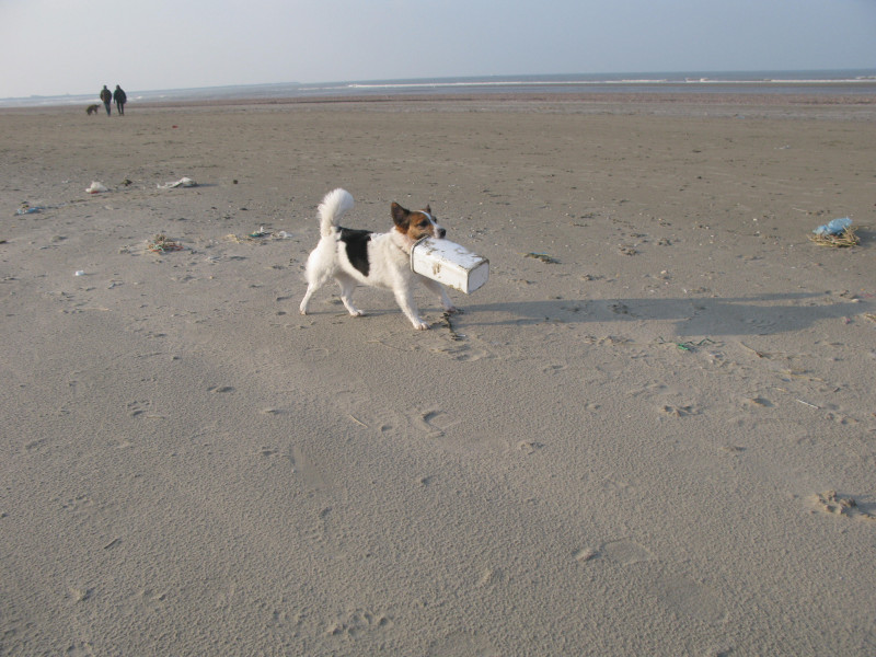 IMG_5311.JPG