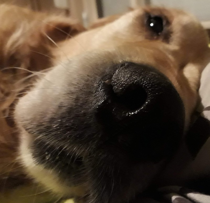 20190922_224923.jpg