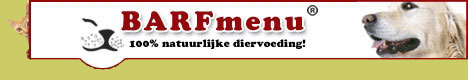 Sponsor